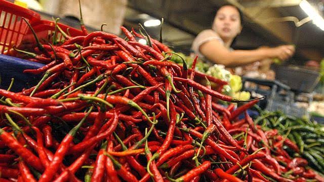 Waw, Harga Cabai Merah Terus Naik, di Pekanbaru Rp90 Ribu Per Kilo, di Siak Tembus Rp100 Ribu