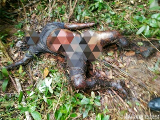 Titip Surat Wasiat Sama Anak, Warga Inhu Ditemukan Tewas dengan Tragis 