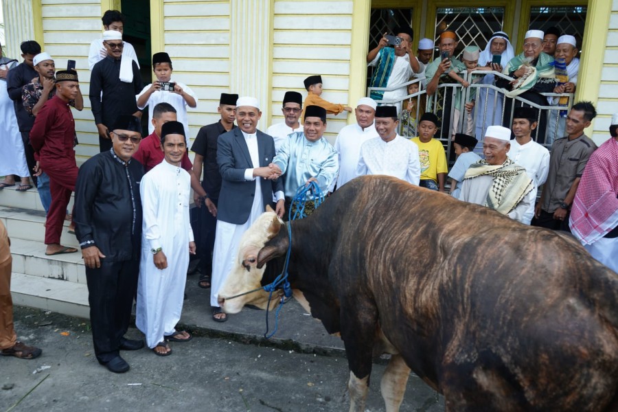 Bupati Inhil Serahkan Hewan Kurban dari Presiden RI ke Panitia Masjid Besar Al Falah Guntung