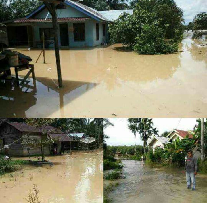 Ribuan Rumah Warga di Kuansing Terendam Banjir