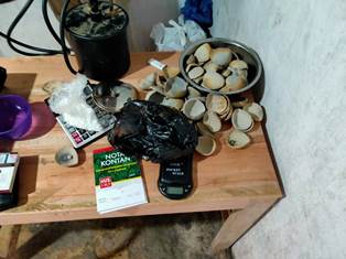 Tak Ada Tempat Bagi Pelaku PETI, Polsek Kuantan Mudik Amankan Pembakar Emas Ilegal