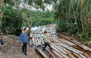 10 Ton Kayu Illegal Logging Diamankan Polda Riau dari Komplotan Mafia Kayu