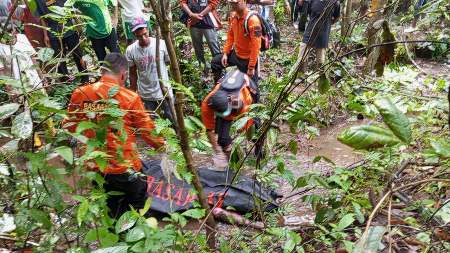 Hendak ke Kebun Malah Tersesat di Hutan, Pria Lansia Ditemukan Membusuk