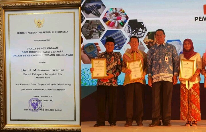Bupati Inhil Dinobatkan Sebagai Individu Yang Berjasa Terhadap Pembangunan Kesehatan