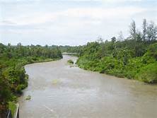 108 DAS di Indonesia Mendesak untuk Direvitalisasi