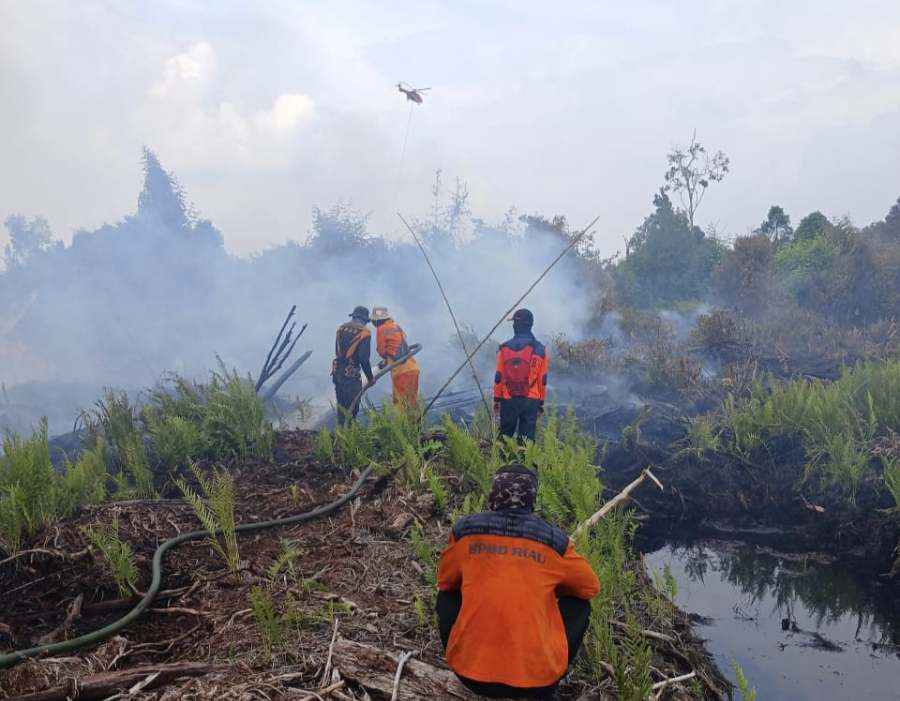 Hotspot Riau Melejit Jadi 86 Titik, Tertinggi di Sumatera