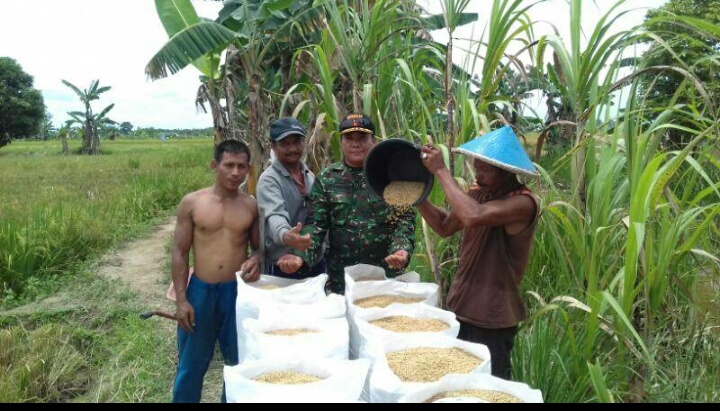 Babinsa Koramil di Inhil Bina Petani Lewat Program Sergap