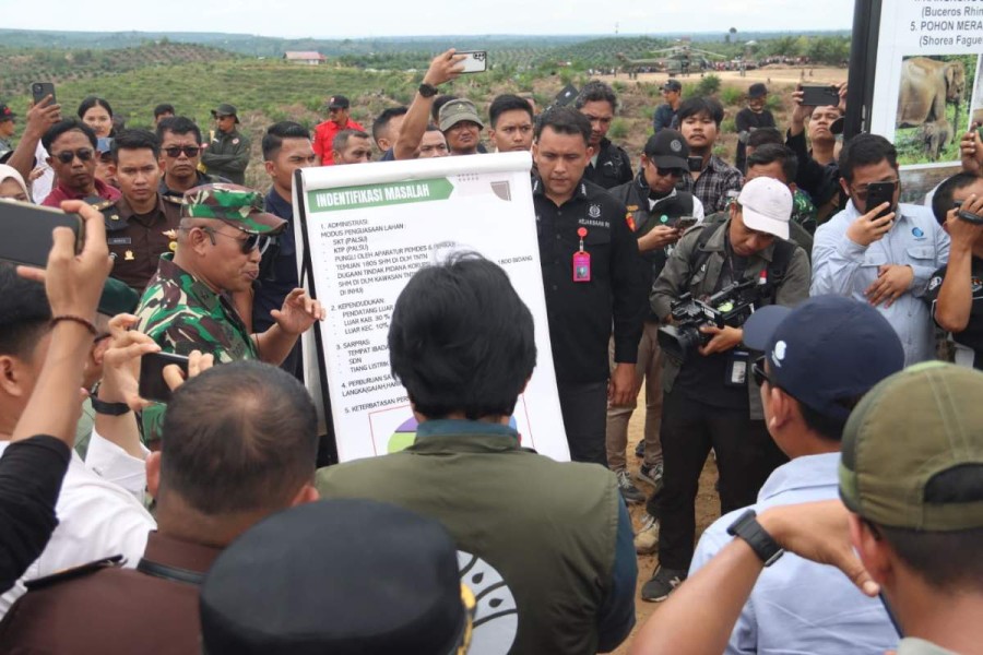 Kejar Target 3 Juta Hektar, Tim Satgas Tertibkan Kawasan Hutan Konservasi Taman Nasional Tesso Nilo Riau