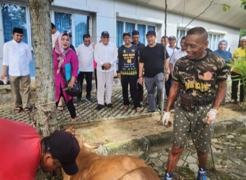 PWI Riau Sembelih Sembilan Hewan Kurban