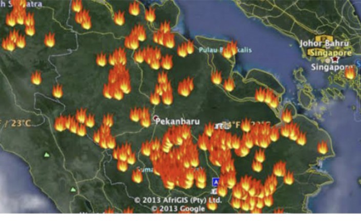 346 Hotspot Terdeteksi di Riau, Inhil dan Inhu Terbanyak