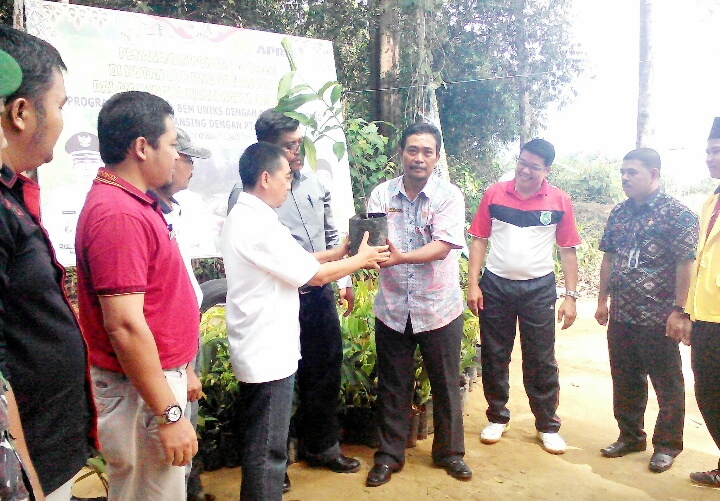 Pemkab Kuansing Apresiasi Penanaman Pohon Dihutan Lindung Sentajo