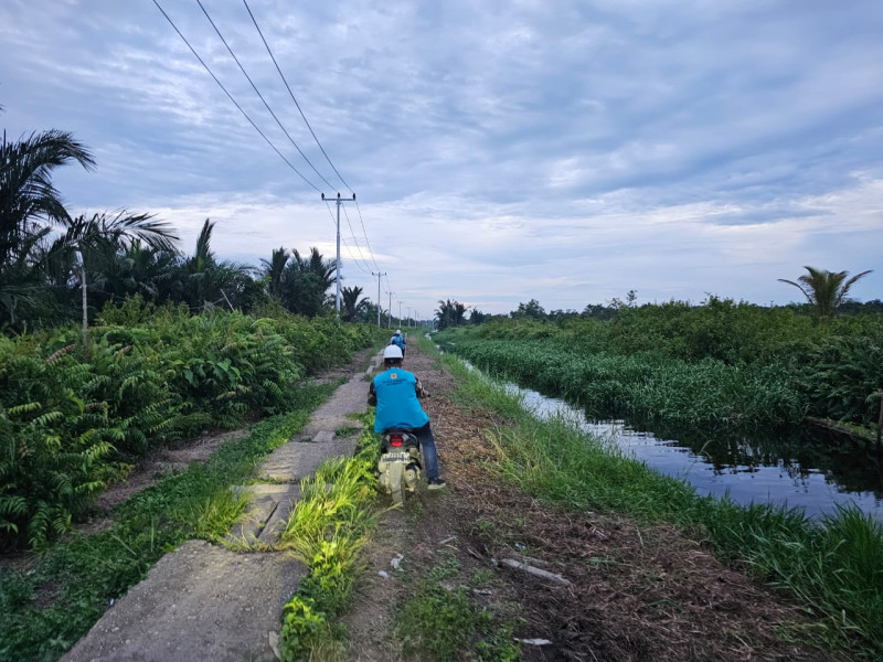 PLN Hadirkan Terang, Listrik 4 Dusun Terpencil di Indragiri Hilir Riau 24 Jam