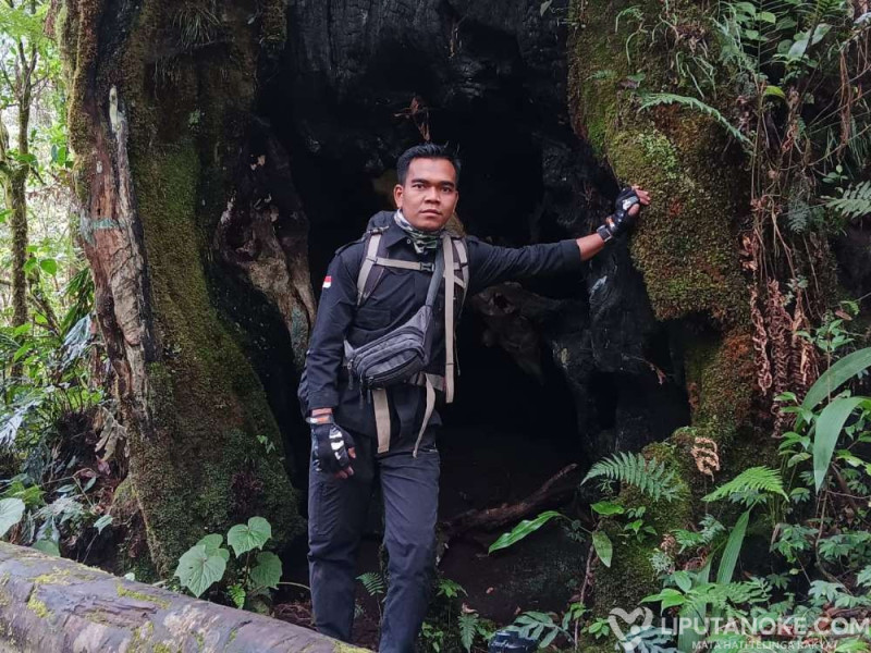 Mistis Kayu Bolong di Area Gunung Merapi Kerinci Jambi, Pendaki Selalu Diminta Menjaga Sikap