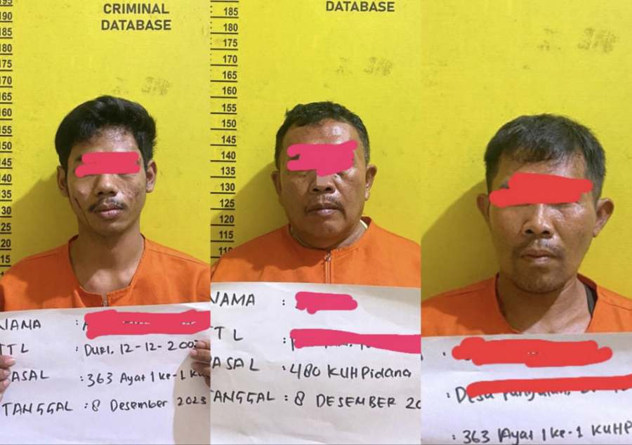 Polres Siak Tangkap Kawanan Pencuri Ternak