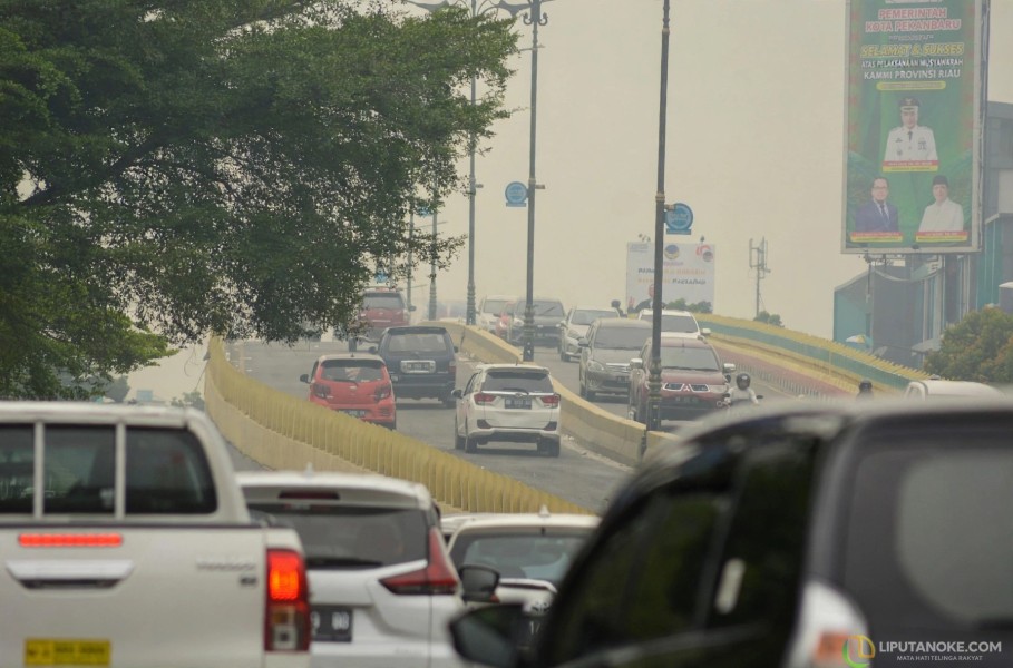 Riau Masih Diselimuti Kabut Asap Hari Ini, BMKG: 61 Hotspot Terdeteksi, Inhil Terbanyak