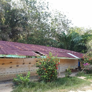 Dinding & Atap Sekolah Berlubang, ini Harapan Kepsek SDN 012 Inhu 