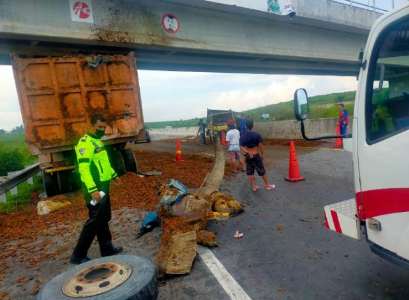 Tabrak Tronton Sedang Parkir, Buah Sawit Berserakan di Tol