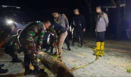 Pemancing  di Pekanbaru Kaget Tak Sengaja Temukan Mortir, Ukurannya Jumbo Bikin Shock