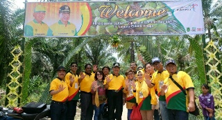 Field Trip, Bupati Inhil dan Delegasi APCC Panen Kelapa di Tempuling