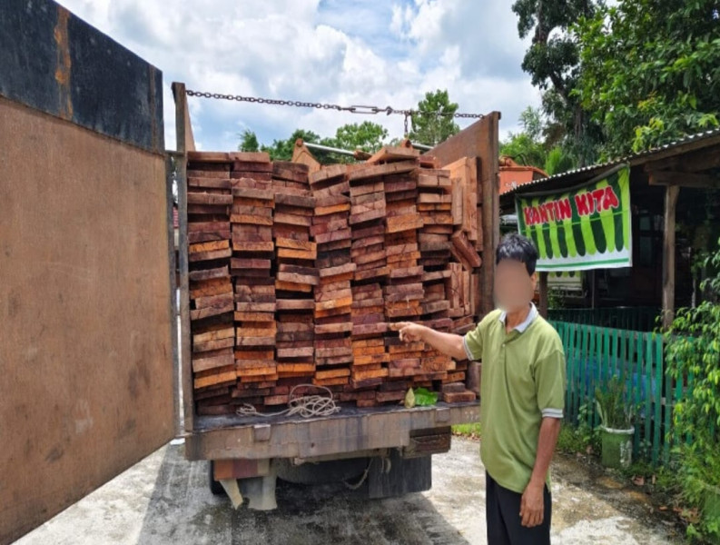 Gakkum Kehutanan Bongkar Peredaran Kayu Ilegal  dari SM Kerumutan Pelalawan