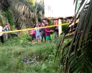 Penjaga Alat Berat Ditemukan Mengapung dalam Kolam, Penyebab Kematian Masih Misteri
