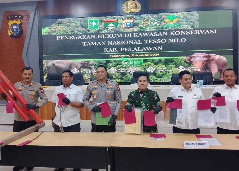 Polda Riau Tetapkan 9 Tersangka Kasus Pengrusakan dan Perambahan TNTN