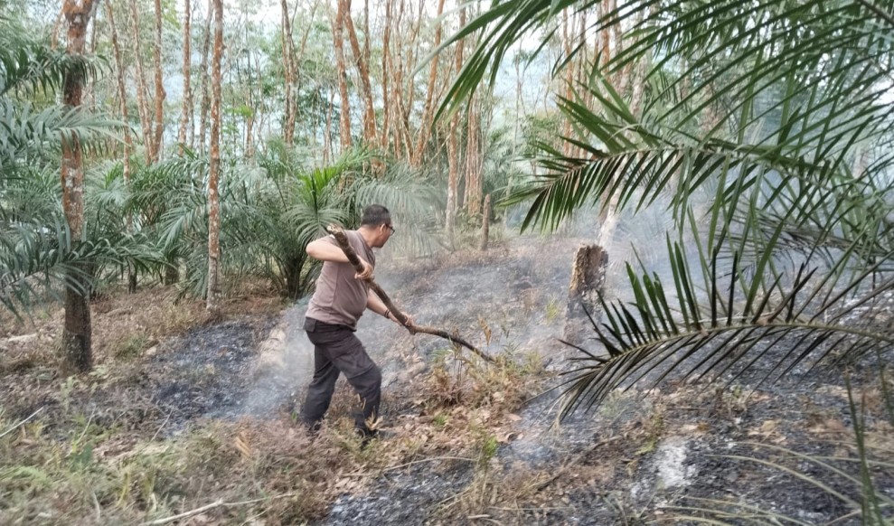 Karhutla di Hutan Lindung Bukit Betabuh Kuansing, Polisi Tangkap 3 Orang