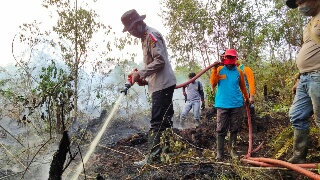 Minimnya Peralatan & Ketersediaan Air, Ratusan Personil Polres Inhu Kesulitan Padamkan Api