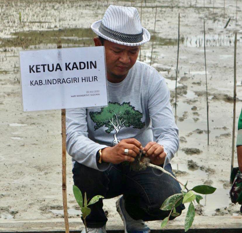 Jaga Kelestariannya, Ketua Kadin Inhil Apresiasi Penanaman Bibit Mangrove di Pantai Terumbu Mabloe