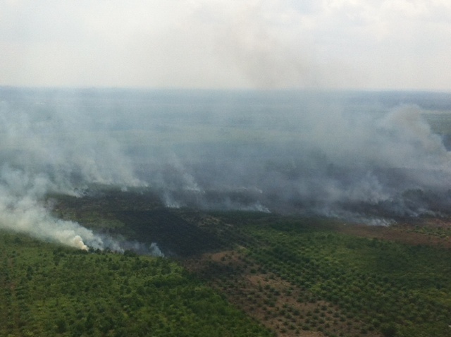 Lima Provinsi di Sumatra Terpantau Titik Panas 