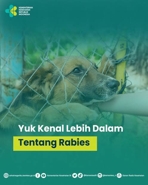 Puskesmas di Inhil Diminta Beri Imbauan dan Sosialisasi Rabies