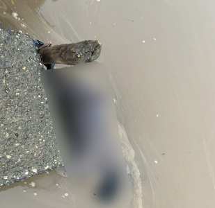 Warga Inhu Temukan Sosok Mayat Perempuan Mengapung di Sungai Indragiri