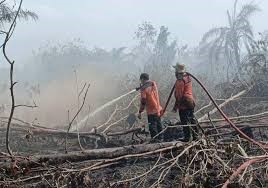 Polda Riau tetapkan Tujuh Orang Tersangka Karhutla