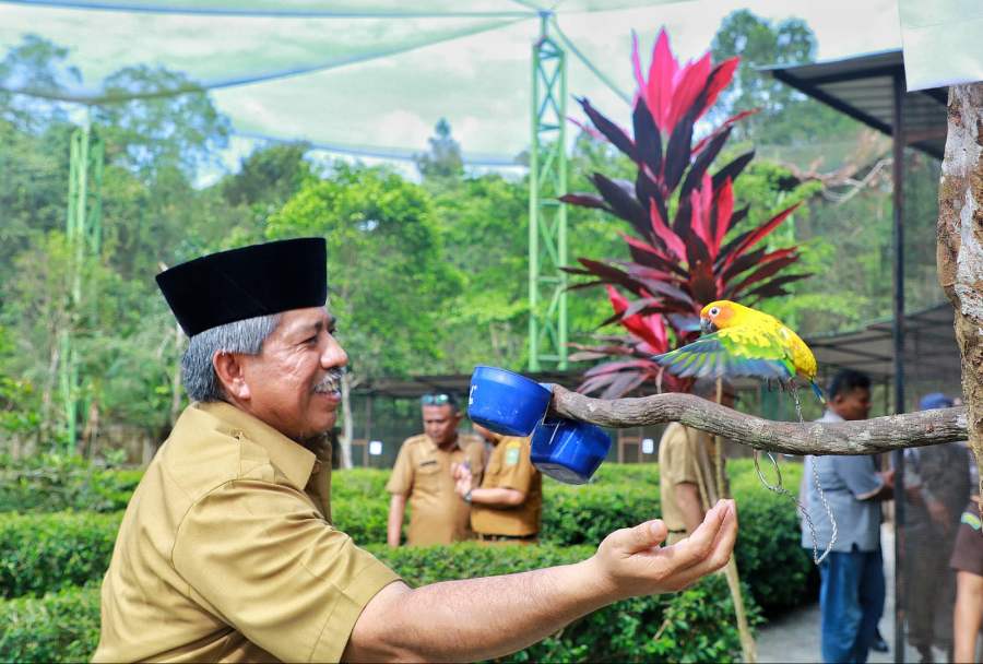 Spot Wisata Baru Taman Burung Jauhari di Siak Dibuka untuk Umum