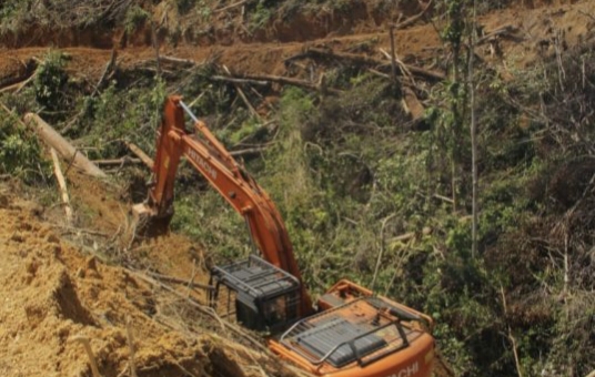 Setelah Kekayaan Riau Dikuras Puluhan Tahun dengan Ilegal, Seenaknya Mau Diampuni, DPRD: Tolak, Itu Banyak Mudhorat
