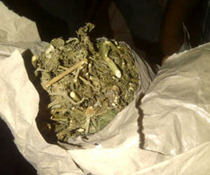 Jailolo-Halmahera Barat Diguncang Gempa 1.489 Kali