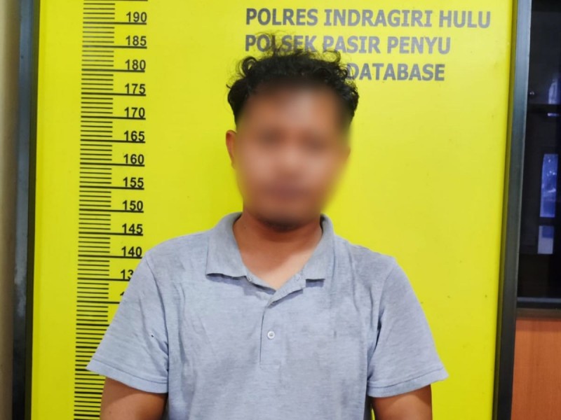 Diduga Jual Narkoba, Oknum P3K Satpol PP Inhu Diamankan Polisi