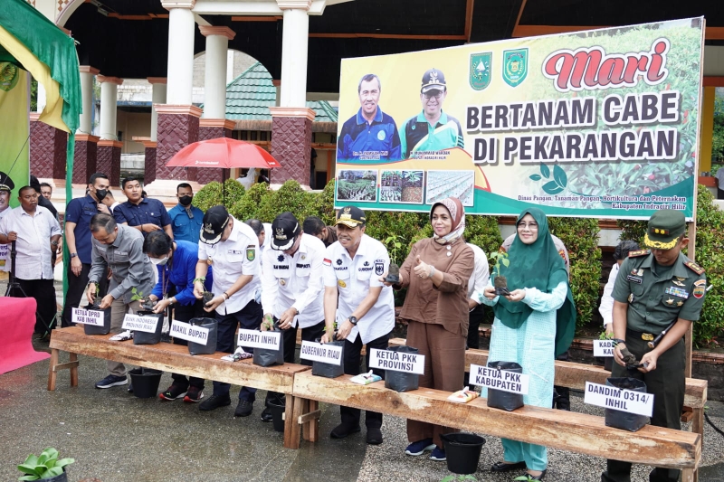 Giliran Inhil, Lagi Gubri Launching Gerakan Tanam Cabai