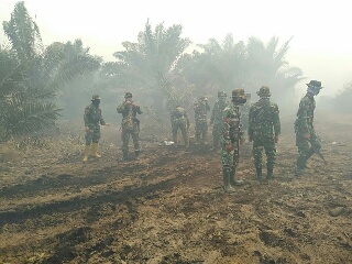 Kebakaran Di Inhu Semakin Meluas, Kodim 0302 Datangkan 12 Personil Batalyon Arhanud Pekanbaru