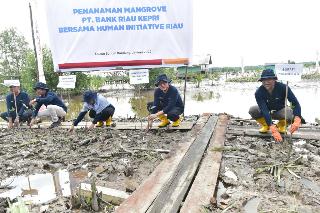 Bank Riau Kepri Tanam 10.000 Pohon Mangrove di Dusun Sungai Bandung