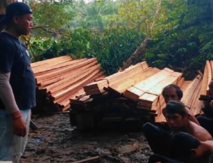 Hutan Alam Rimbang Baling di Riau Dijarah, 7 Orang Ditangkap