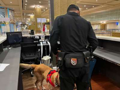 Tim Penjinak Bom Polda Bali Kerahkan Anjing Pelacak Sterilisasi Hotel yang Ditempati HoD & Delegasi Luar Negeri