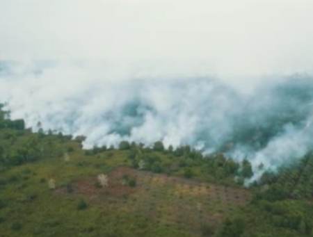 Titik Panas Kembali Terpantau di Wilayah Riau