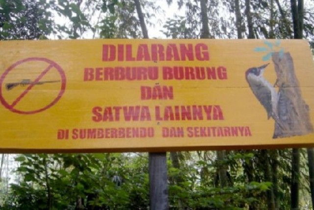 Coba Membawa Kupu-Kupu Khas Papua, Turis Prancis Diamankan