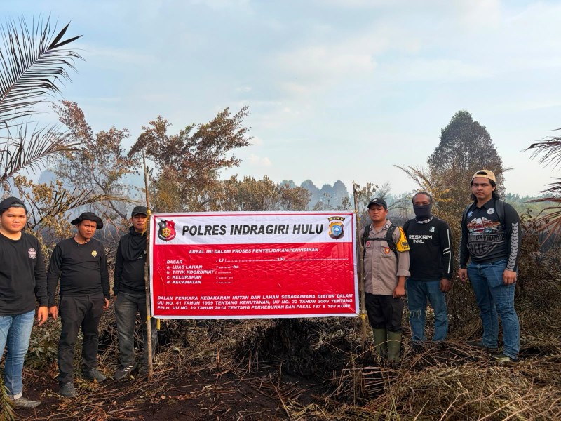 Pelangsir Sawit  Buang Puntung Rokok, Sebabkan Kebakaran 5 Hektare di Inhu