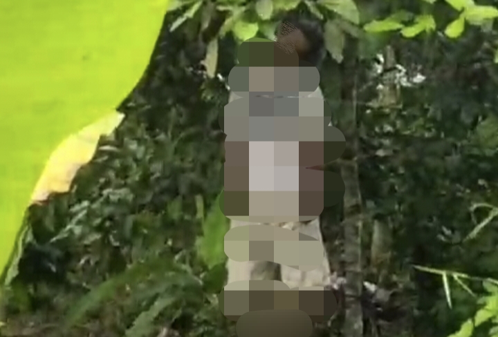 Duh! Warga Desa Kerubung Jaya Batang Cenaku Inhu Ditemukan Tergantung di Pohon Rambutan