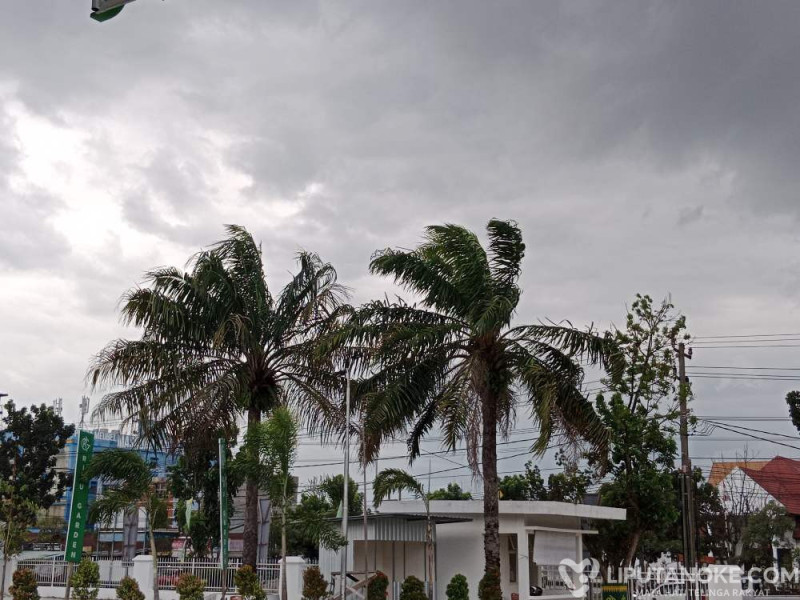 BMKG Minta Masyarakat Riau Waspadai Potensi Hujan Deras dan Angin Kencang