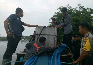 Si Bonita Akhirnya Berhasil Dilumpuhkan dengan Tembakan Bius