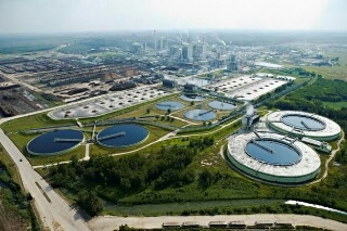 Tertimpa Kayu, Satu Pekerja Limbah Milik RAPP Tewas Ditempat