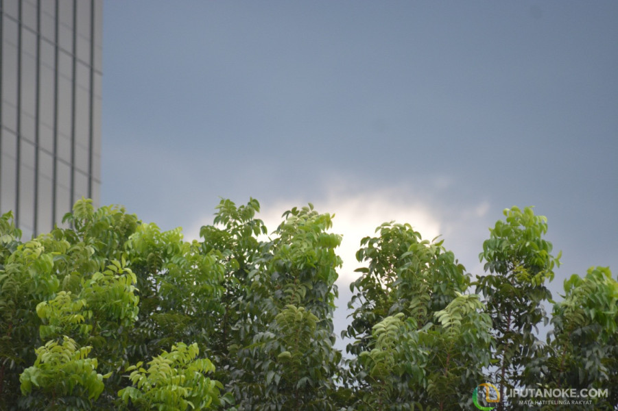 Cek! Ini Prakiraan Cuaca Beberapa Daerah di Riau untuk Selasa 25 Juni 2024